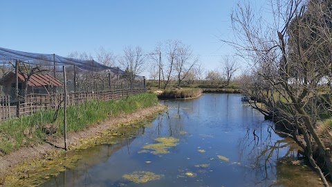 Azienda Agrituristica La Barena