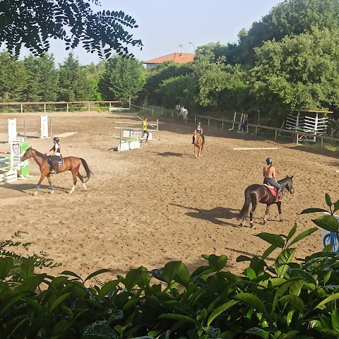 CIRCOLO IPPICO IL CILIEGIO - scuola di equitazione, Pony games, organizzazione compleanni a tema