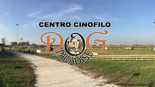 Centro Cinofilo DOG PARADISE Santerno - Ravenna