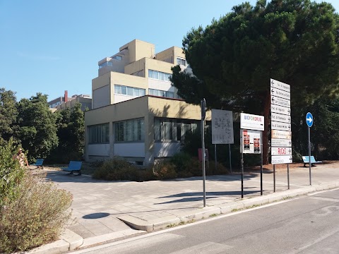 Università degli Studi di Bari - Dipartimento di Matematica