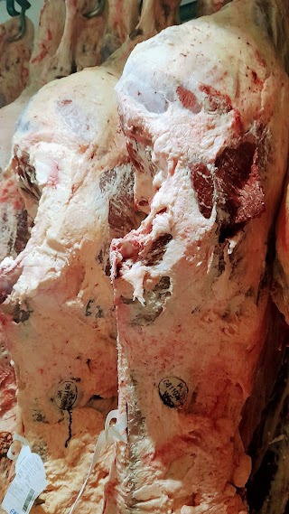 Padovanese ingrosso carne e salumi foriniture per gdo macellerie e Ristorazione