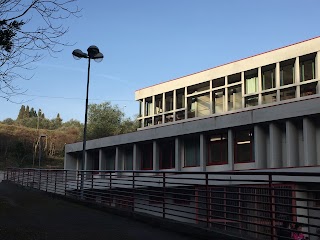 Scuola Secondaria di 1° Grado "Alessandro Paoli"