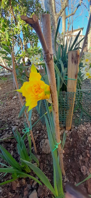 Giardino dell'Ardiglione (ex Amici del Nidiaci)