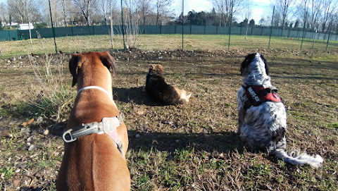 Che Vita Da Cani - centro cinofilo