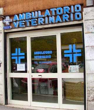 Ambulatorio Veterinario Jonio