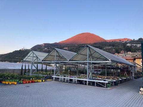 Azienda Agricola Chimini Nicola