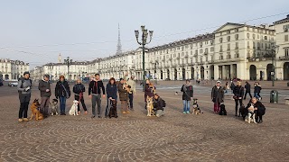 Veterinario Comportamentalista Stefan Ghiuta