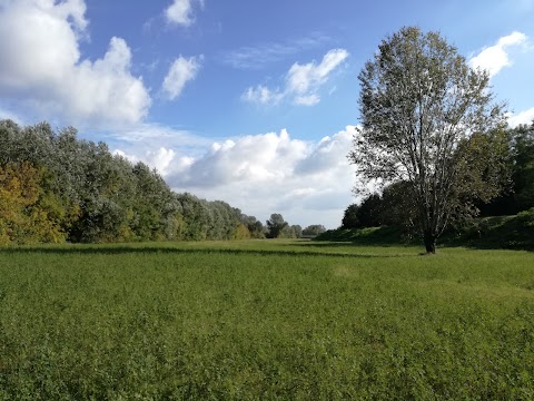 Area di Riequilibrio Ecologico "Bisana"