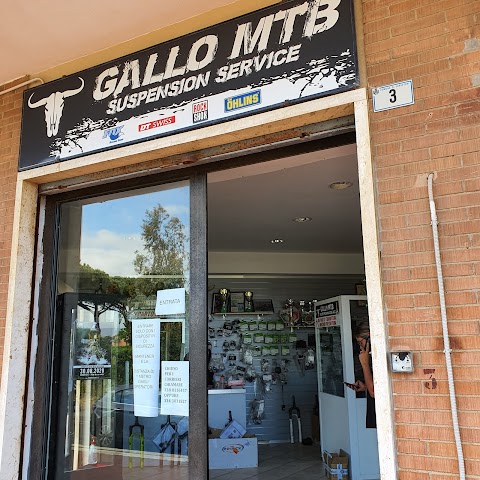 Gallo Moto