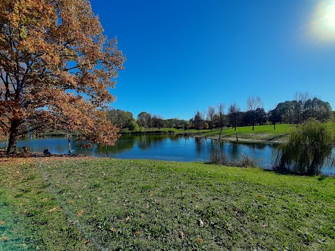 Stagno della Pellerina