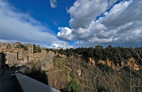 Guide Turistiche Viterbo