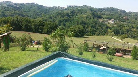 Agriturismo Cisogna