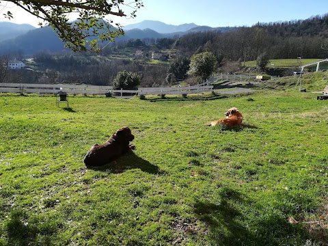 Agriturismo dei Legi