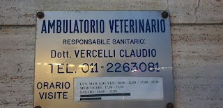 Vercelli Claudio