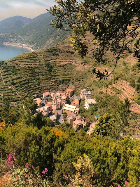 Cinque Terre Point