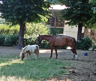 L'Oasi del Cavallo