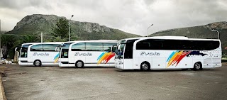 Evola Bus Servizi Transfer