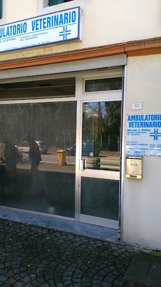 Ambulatorio Veterinario di Steffan Dr. Sonia