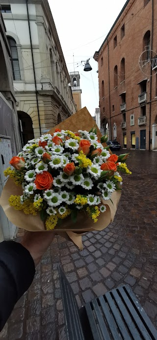 L'Angolo Del Fiore Rovigo