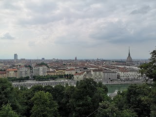 Scuola Media Statale Nievo Matteotti