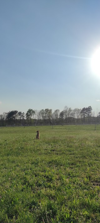 Parco Regionale della Pineta di Appiano Gentile e Tradate