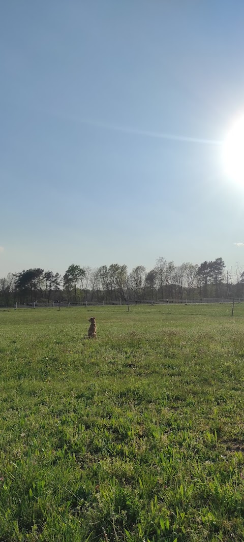 Parco Regionale della Pineta di Appiano Gentile e Tradate