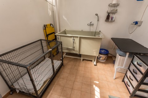 Nuovo Centro Veterinario L'Isola