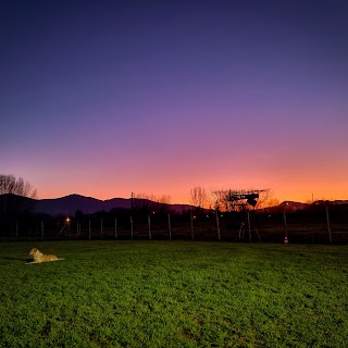 Centro Cinofilo L'Essenza del Cane A.S.D.