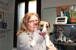 Casa Di Cura Veterinaria San Geminiano