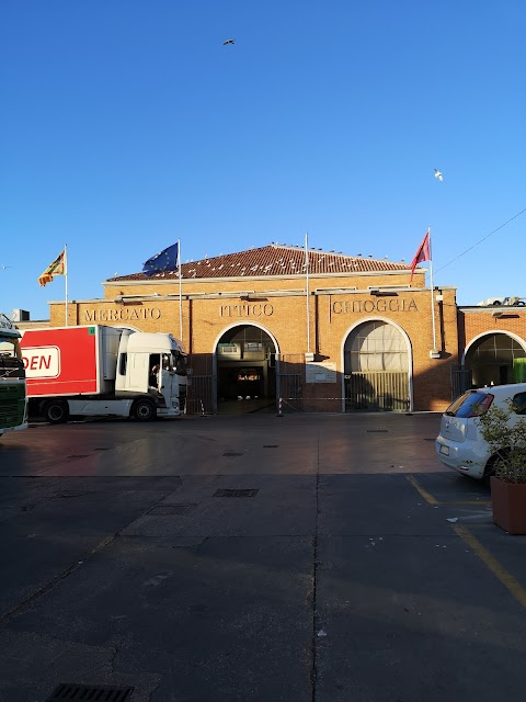 Mercato Ittico all'ingrosso di Chioggia