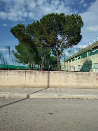 Scuola Media Statale Moro Fiore