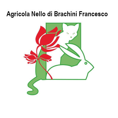 Agricola Nello di Brachini Francesco