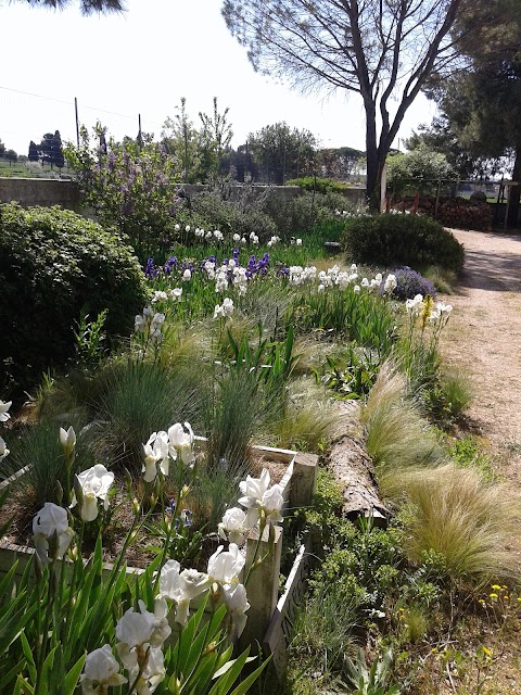 Giardino della Moscatella