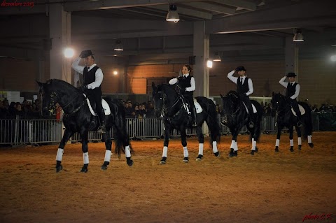 Accademia nazionale di arte equestre "Il nero luminoso"