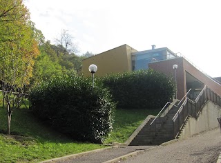 Scuole Elementari Cremonini-Ongaro