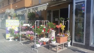 Gioco di Fiori