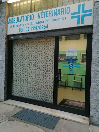 Ambulatorio Veterinario Associato Rondinella