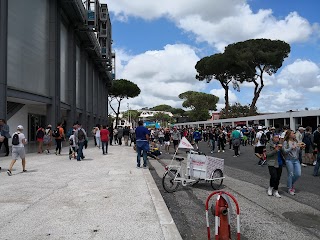 Università degli Studi di Roma "Foro Italico"