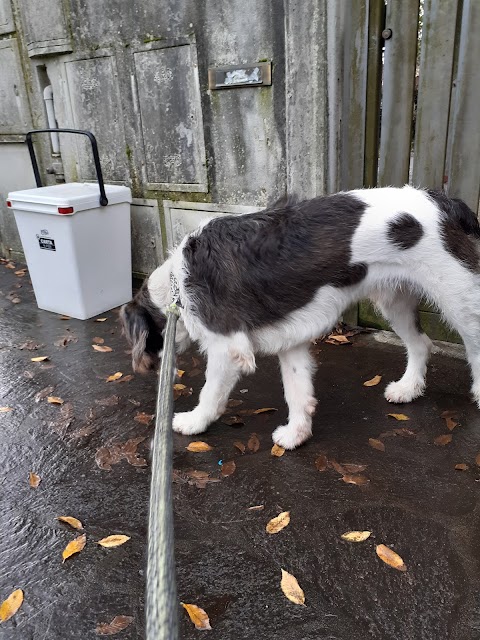 Ambulatorio Veterinario Biagioni Gagliani Lencioni Romeo