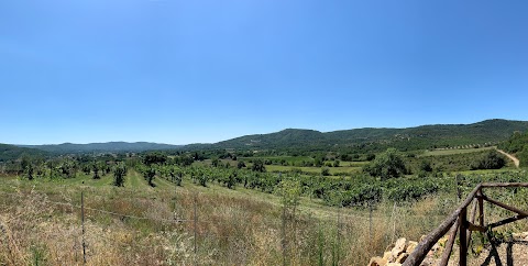 Cucina Donnaluisa, Ambra