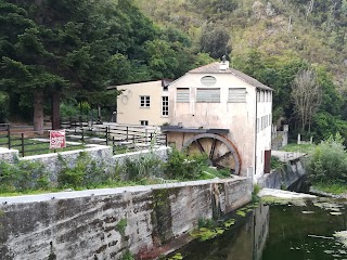 La Bottega Dell'Acquasanta Di Caroleo Laura