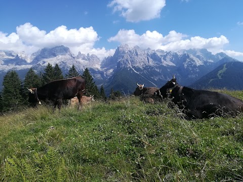 Rifugio Malga Ritorto