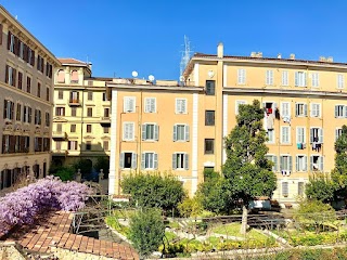 Le Rondini a Roma