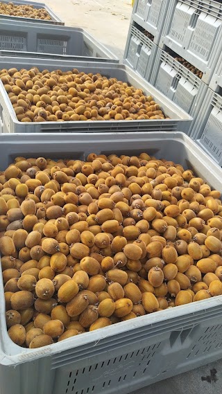 Azienda Frutticola Castagne Gros