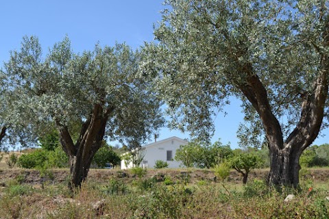 Elena House Castelluccio