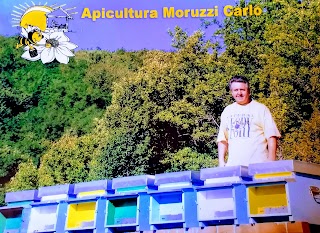 Apicoltura Moruzzi Carlo Via Lodio 8 Castel Di Casio Bo