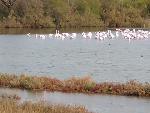 Riserva Naturale regionale Valle Cavanata