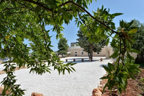 Masseria il mandorlo Fiorito casa vacanze