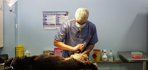 Clinica Veterinaria Monti Cimini