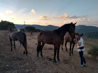 Sicily Horse Tours